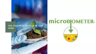soil health in the palm of your