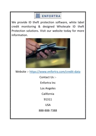 we provide id theft protection software white