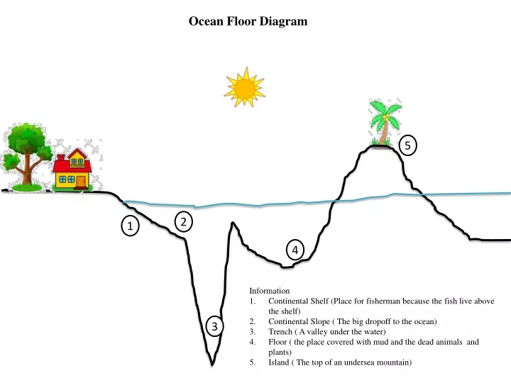 ocean floor diagram
