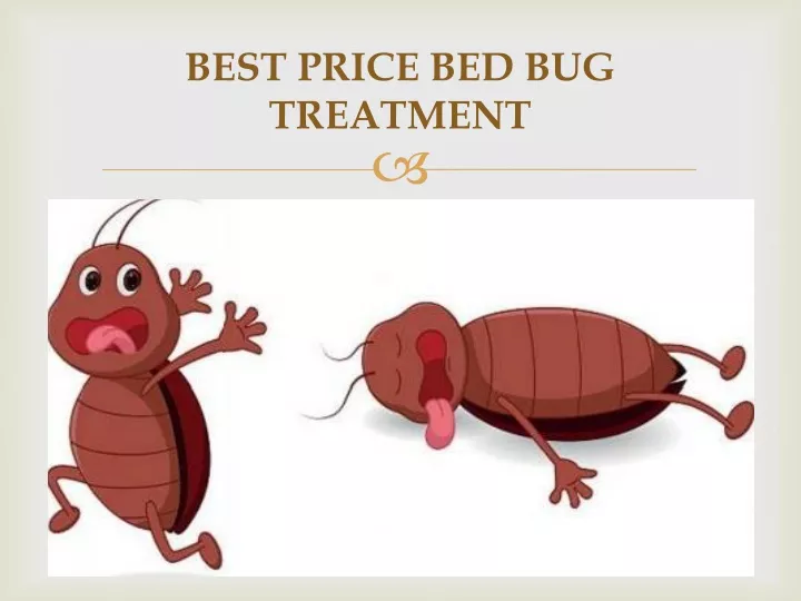 best price bed bug treatment