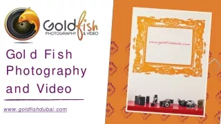 Gold Fish Photography and Video