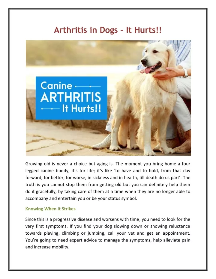arthritis in dogs it hurts