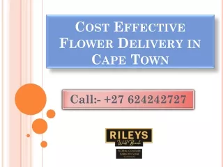 Cost Effective Flower Delivery in Cape Town