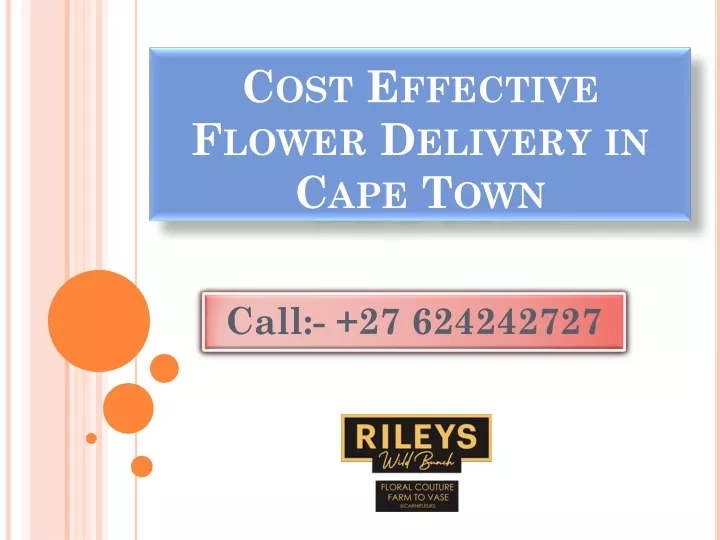 cost effective flower delivery in cape town