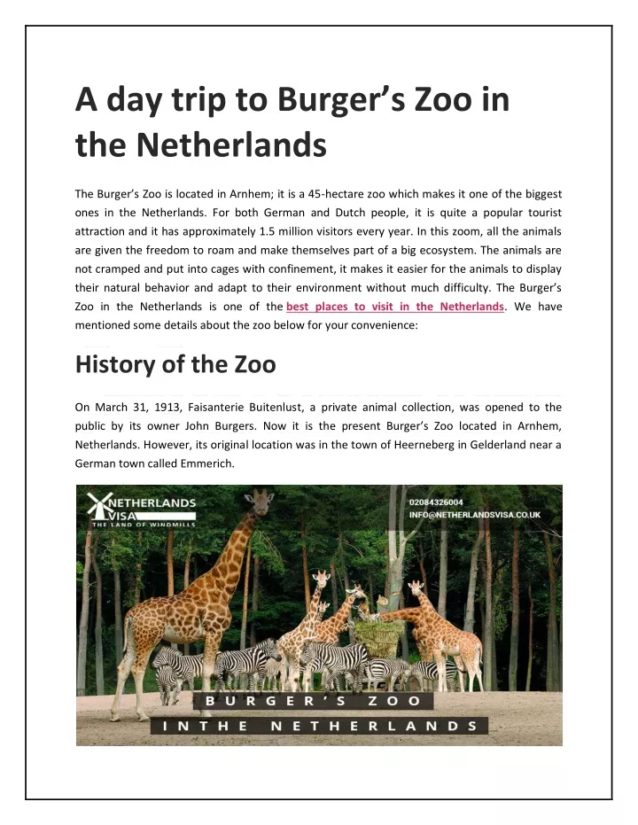 a day trip to burger s zoo in the netherlands