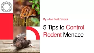 5 Tips to Control Rodent Menace | Best Rat Control Tips | Rat Control Methods
