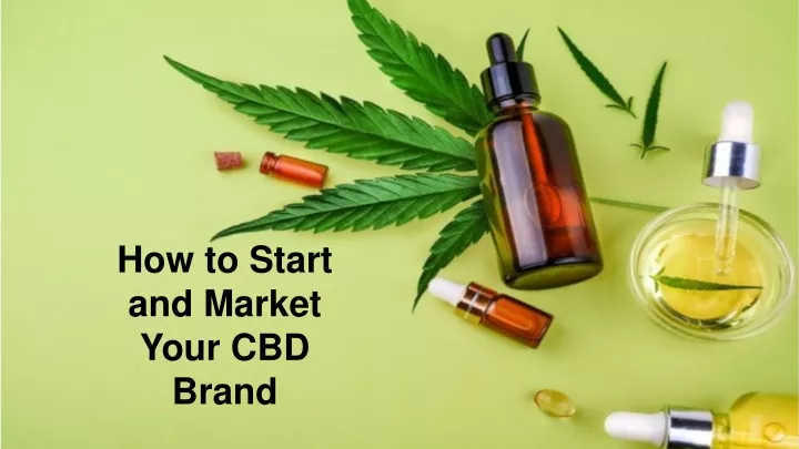 how to start and market your cbd brand