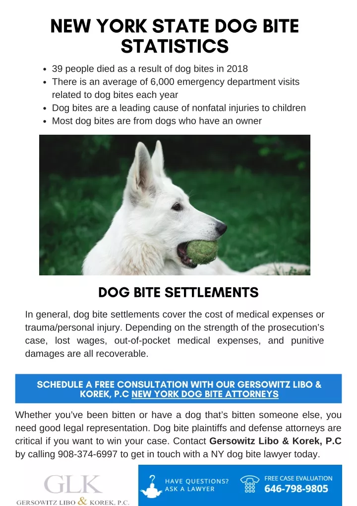 new york state dog bite statistics