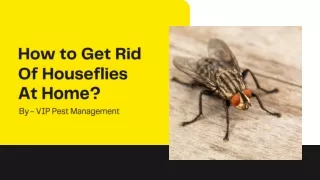 How to Get Rid Of Houseflies At Home | DIY Pest Control Tips | Fly Control Tips