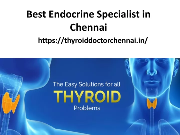 best endocrine specialist in chennai https