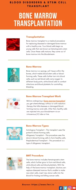 Bone Marrow Transplantation – All You Need to Know