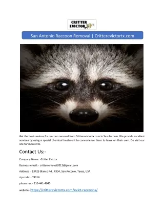 san antonio raccoon removal critterevictortx com