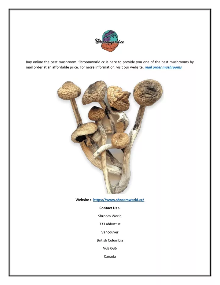 buy online the best mushroom shroomworld