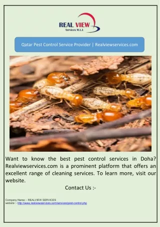 Qatar Pest Control Service Provider | Realviewservices.com