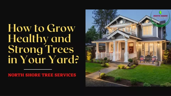 how to grow healthy and strong trees in your yard