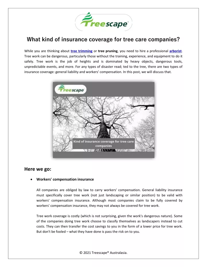 what kind of insurance coverage for tree care
