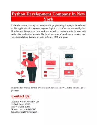 python development company in new york python