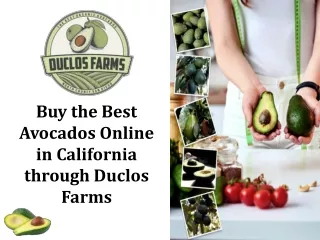 Buy the Best Avocados Online in California