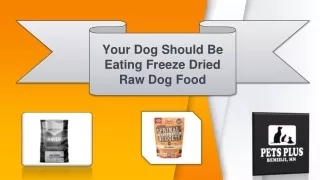 Your Dog Should Be Eating Freeze Dried Raw Dog Food
