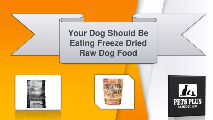 your dog should be eating freeze dried