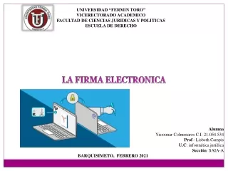 LA FIRMA ELECTRONICA