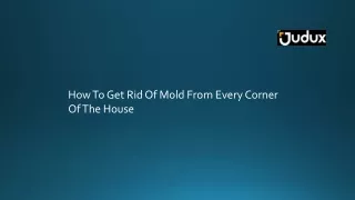 how to get rid of mold from every corner