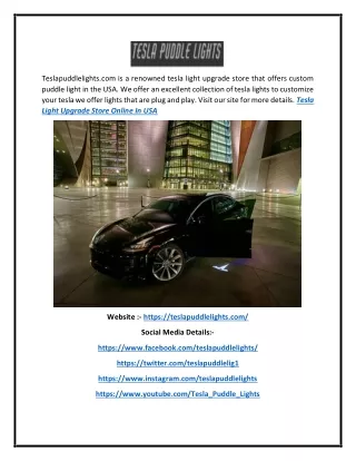 teslapuddlelights com is a renowned tesla light