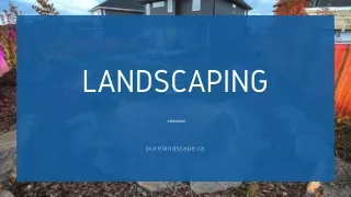 Residential landscape construction - Commercial landscape companies