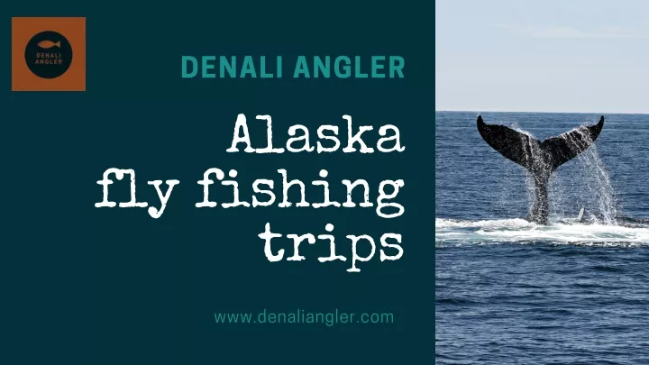 denali angler