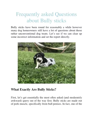 Frequently asked Questions About Bully sticks