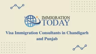 Immigration Consultants in Chandigarh