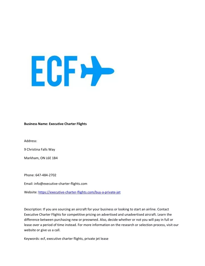 business name executive charter flights