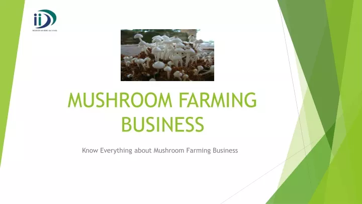mushroom farming business