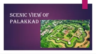 Enchanting Palakkad Destinations