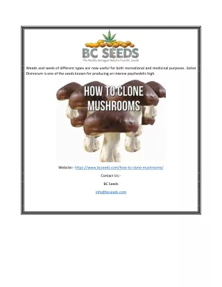 Cloning Mushrooms | Bcseeds.com