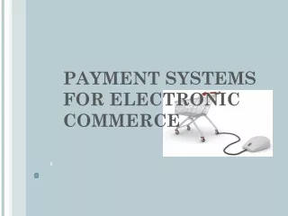 Synapse Financial Technologies - PAYMENT SYSTEMS  FOR ELECTRONIC  COMMERCE