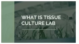 What is Tissue culture lab