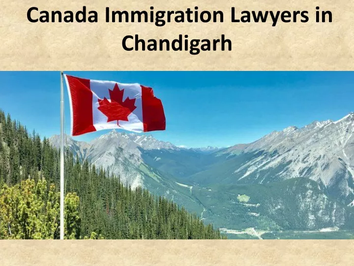 canada immigration lawyers in chandigarh