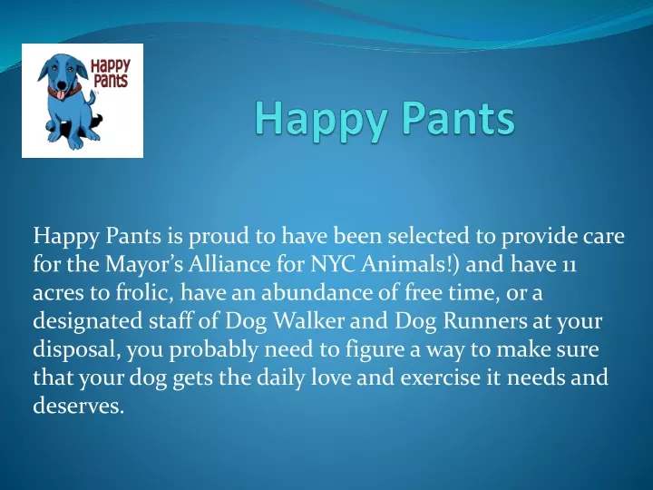 happy pants