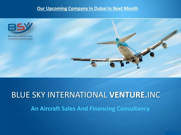 blue sky international venture inc