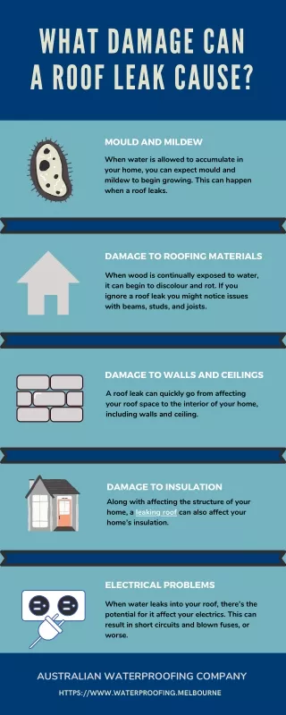 What Damage Can a Roof Leak Cause?