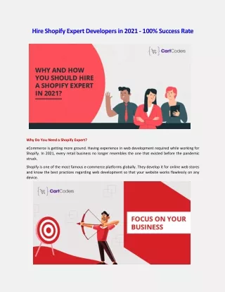 hireshopifyexpertdevelopersin2021 100 successrate