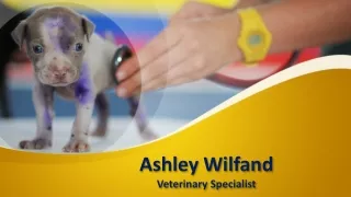 Ashley Wilfand _ Veterinary Specialist