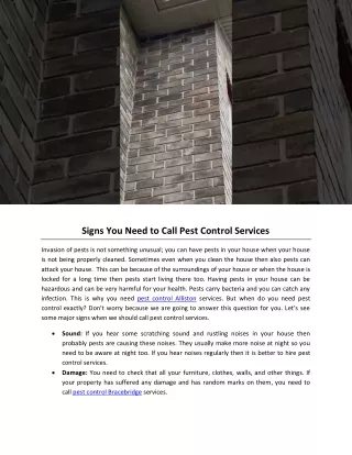 Signs You Need to Call Pest Control Services