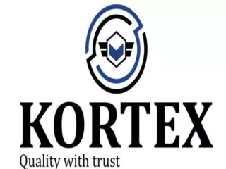 What Is Kortex Car Washer