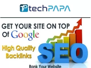 Best SEO Company in Noida