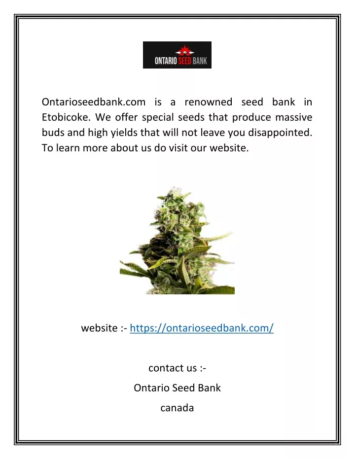 ontarioseedbank com is a renowned seed bank