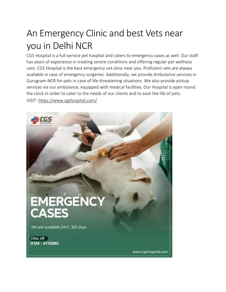 an emergency clinic and best vets near