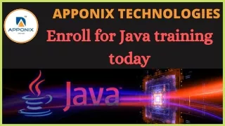 apponix technologies