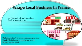 scrape local business in france
